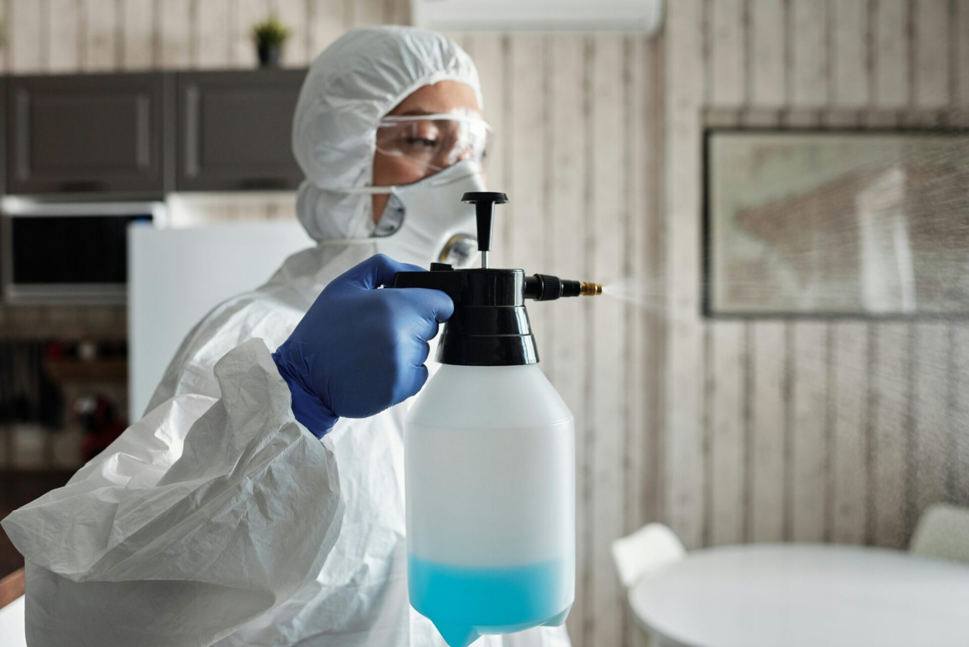 pexels-matilda-wormwood-4099092 Bed Bug Control & Removal Service
